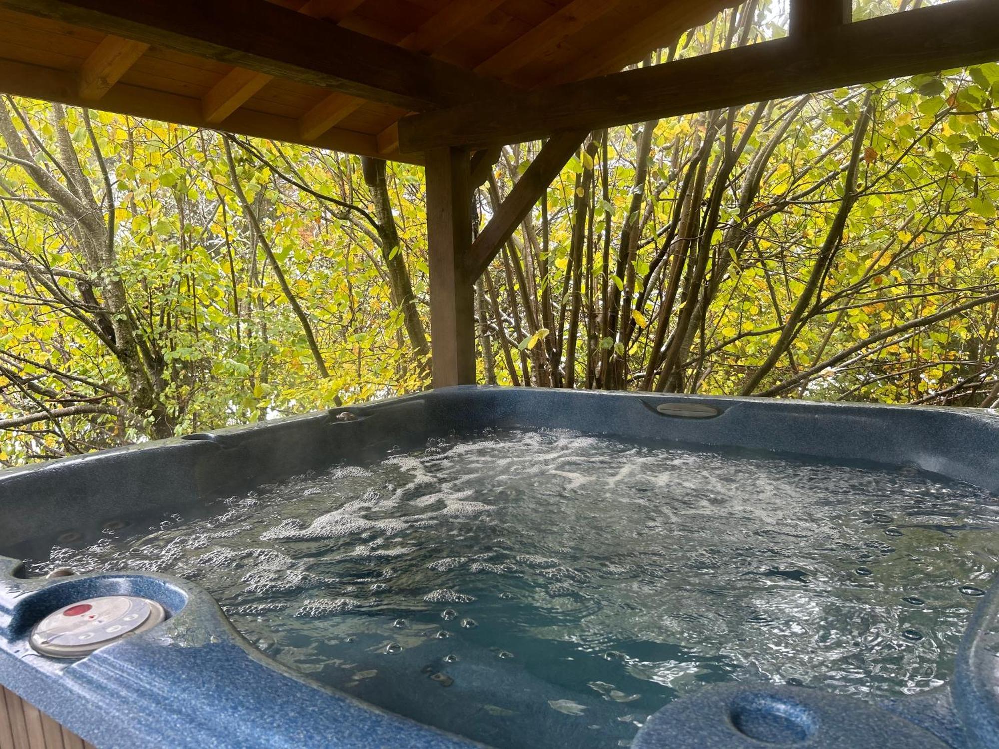 Chalet Adonis - Montriond, Morzine, Avoriaz Εξωτερικό φωτογραφία