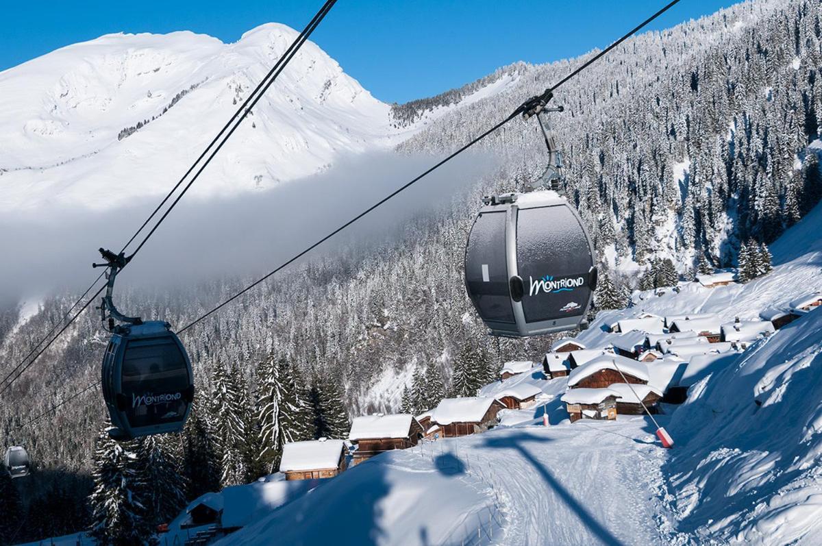 Chalet Adonis - Montriond, Morzine, Avoriaz Εξωτερικό φωτογραφία
